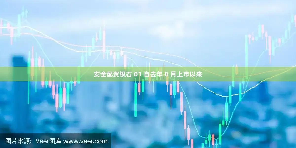 安全配资极石 01 自去年 8 月上市以来