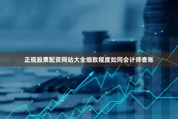 正规股票配资网站大全细致程度如同会计师查账